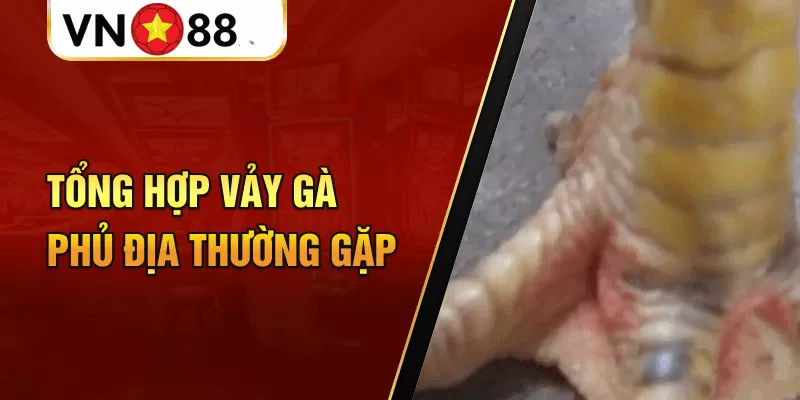 Vảy gà phủ địa có tốt không?