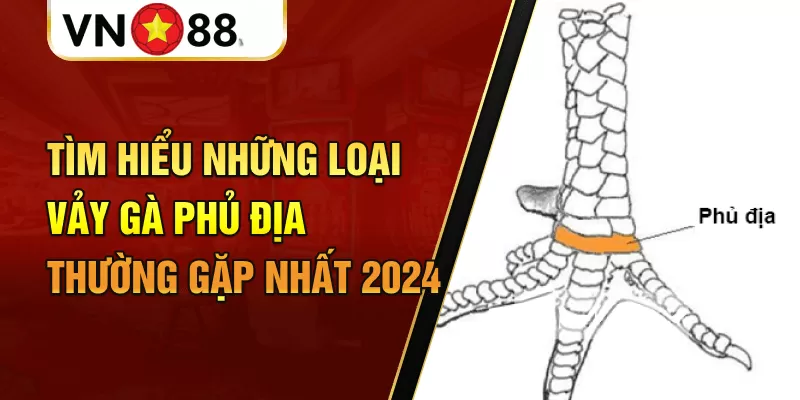 Sơ lược về vảy gà phủ địa